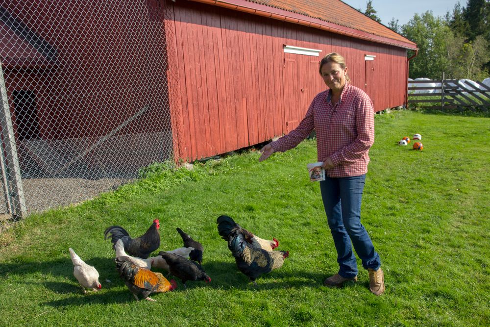 - Når man har drevet med milliardinvesteringer, er det sunt å oppleve hvor mye arbeid som skal til for å drive en stor gård, sier Alexandra Bech Gjørv mens hun mater hønsene. 