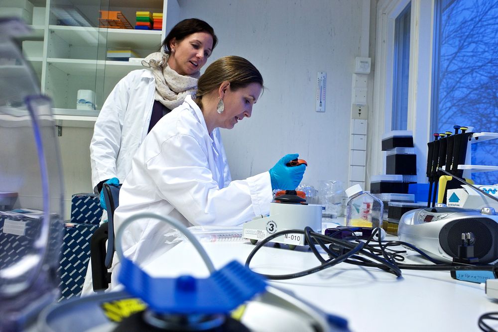 Forskningssjef Agnete Fredriksen (t.v.) og forsker Elisabeth Stubsrud i Vaccibody har startet testing på mennesker.