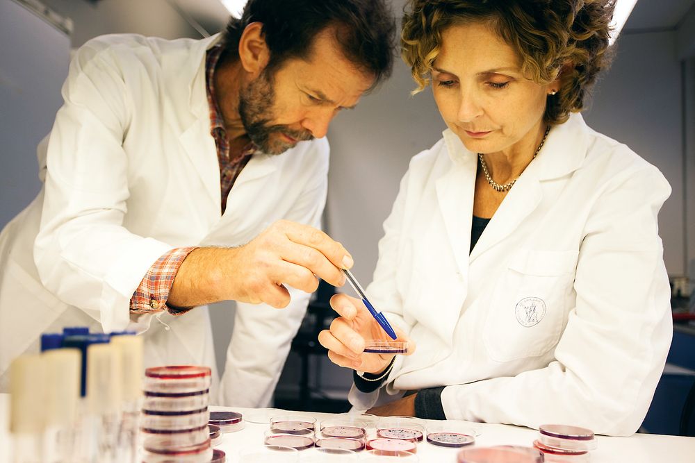 Sjekker vannprøver: Forskerne Henning­ Sørum og Tina O’Sullivan diskuterer bakterie­floraen på vannprøver fra hovedrense­anlegget på Slemmestad. 