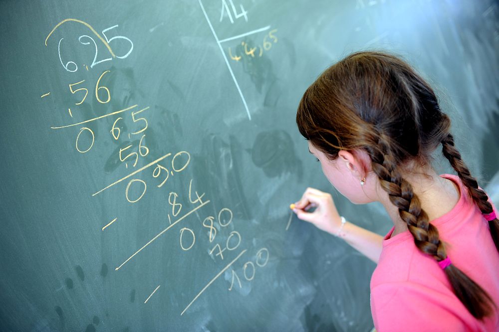 Omkring 15.000 mattelærere i grunnskolen mangler mattekompetanse for å oppfylle kravene til å undervise i mattematikk. Dermed er det stort behov for de ekstra 350 realfagslærerne som vil bli utdannet gjennom de nyopprettede studieplassene i PPU. 
