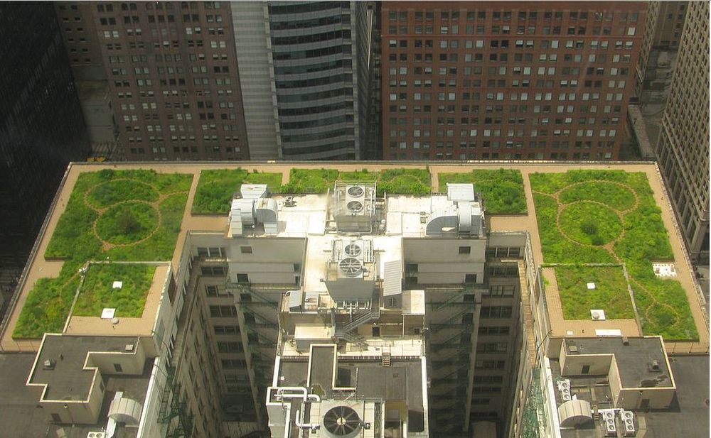 El-gress på taket: Forskere mener de har funnet en helt ny tilnærming til småskala energiproduksjon, som kan bidra til å gjøre husstander selvforsynte med strøm. Illustrasjonsbilde av Chicago city hall.