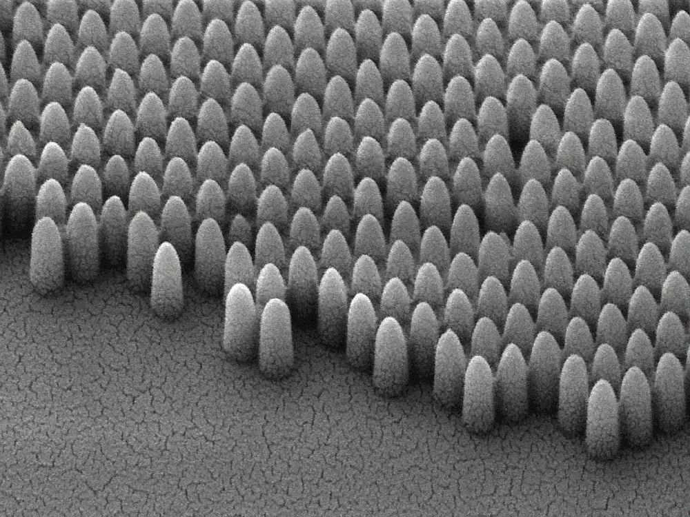 Nanostrukturen avviser vann og minsker gjenskinner fra sollys. 