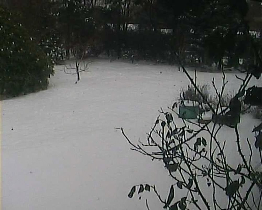 Hver dag får familien Espeland rapport fra sommerhuset på Nord-Sjælland med et bilde og dagens temperaturer. I øyeblikket ser hagen slik ut.