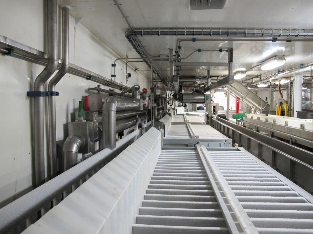Platefryser i fabrikken ombord i Roaldnes
