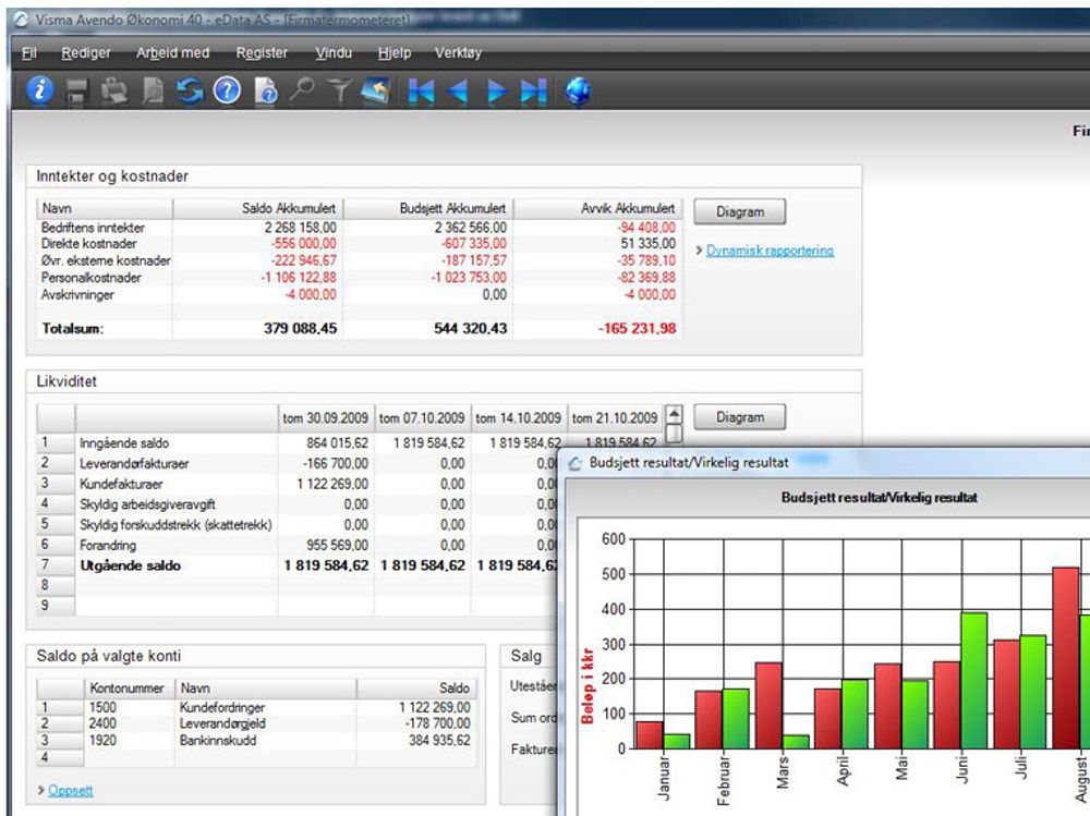 Detalj av skjermbilde fra Visma Avendo Økonomi 40.