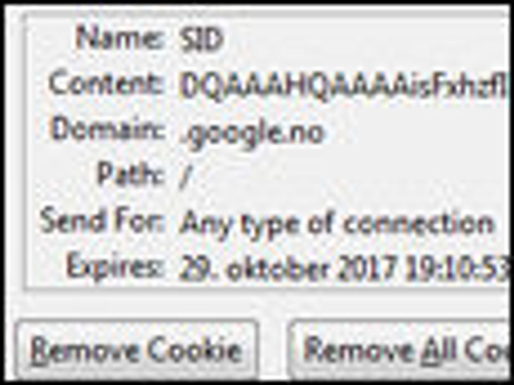 Informasjonskapsel (cookie) fra Google.no