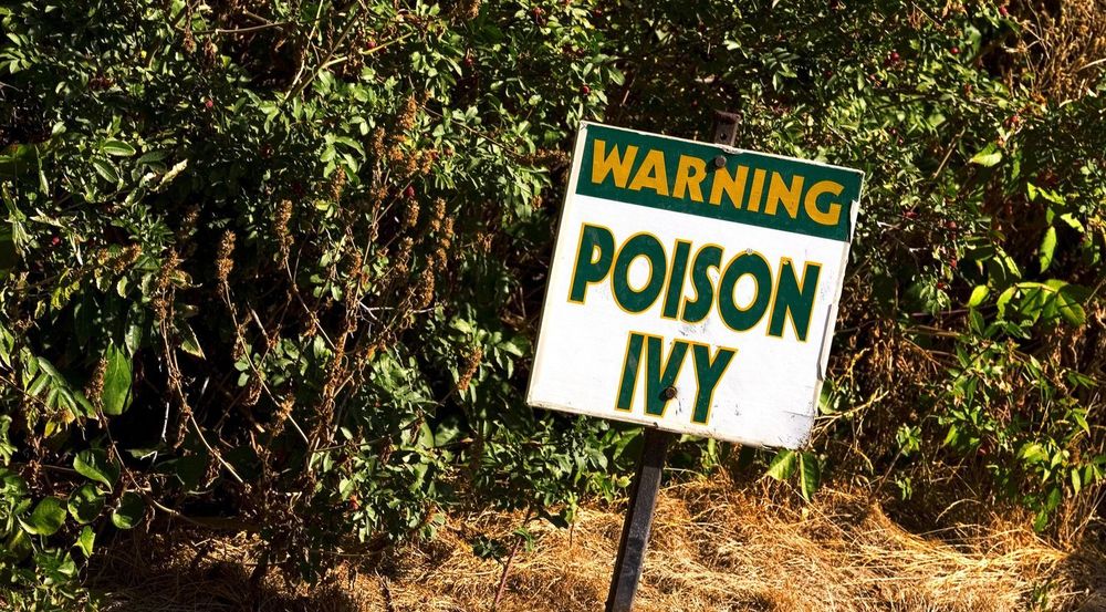 Sårbarheten i IE8 har allerede ført til at brukere har blitt infisert av bakdøren Poison Ivy, det engelske navnet på planten giftsumak. Poison Ivy er også navnet til en av Batmans kvinnelige motstandere.