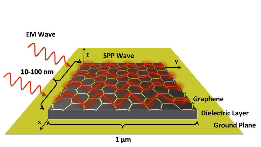 Skjematisk skisse over hvordan SPP-bølger (surface plasmon polariton) vil bli dannet på overflaten til knøttsmå antenner lagt av grafén.