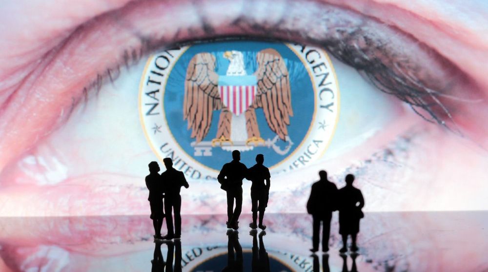 NSA ser ut til å skille de potensielle løvene fra lammene ved å holde øye med alle som er mer enn gjennomsnittlig opptatt av personsvernsteknologi. Dette avslører et regelsett til analyseverktøyet XKeyscore. Filen stammer trolig fra en annen kilde enn Edward Snowden. 