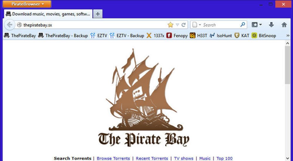 PirateBrowser består av en relativt vanlig utgave av Firefox som er ferdig satt opp til å bruke Tor-nettverket for å få tilgang til nettsteder som er blokkert av enkelte nasjoners myndigheter.
