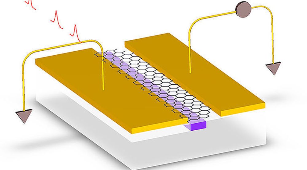Illustrasjon som viser fotodetektoren til den amerikanske forskningsgruppen. Lys kommer inn gjennom en bølgeleder, treffer et grafénlag som omdanner lyset til elektroner. Disse kan så behandles av brikken som fotodetektoren er integrert med.