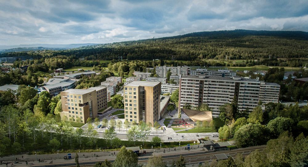 Når de nye studentboligene på Kringsjå i Oslo er realisert vil de bli Oslos høyeste massivtrebygg, med ti etasjer, der ni av etasjene er i massivtre.