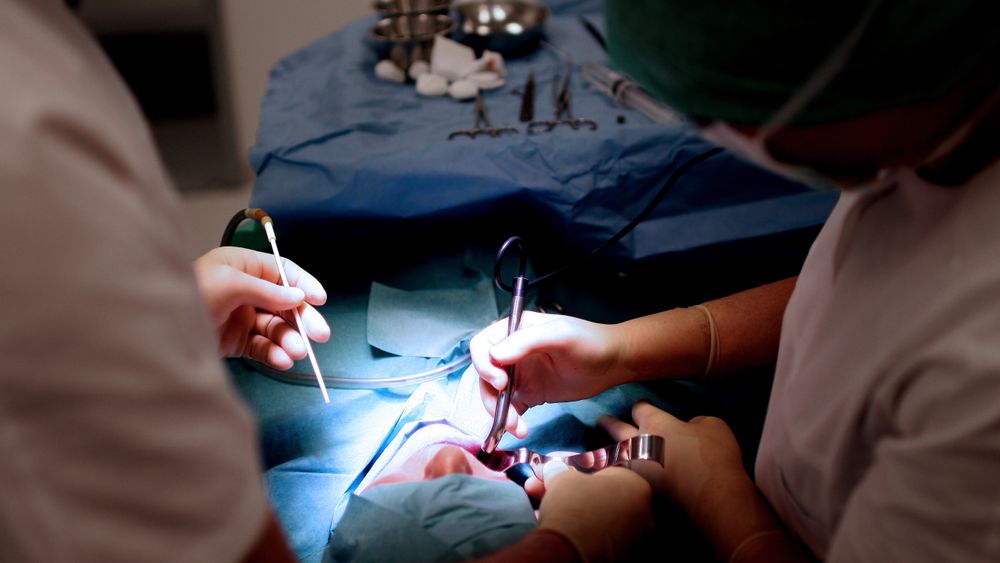 Kontroll: Oralkirurg Cecilie Gudveig Gjerde sjekker det nygrodde kjevebeinet hos en av sine pasienter.