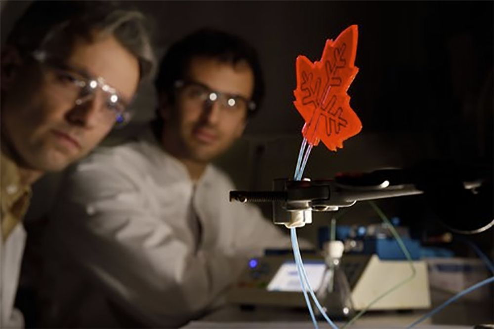 Forskere og fabrikk: Ved Eindhoven University of Technology har forskere tatt inspirasjon fra naturen og laget et kunstig blad som kan produserer ulike kjemikalier slik om medisin.