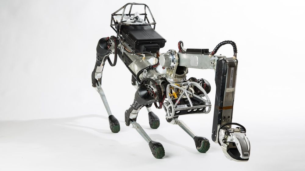 SpotMini er blant de dyrelignende robotene til Boston Dynamics som har fremkalt både begeistring og kanskje også frysninger på ryggen hos enkelte.