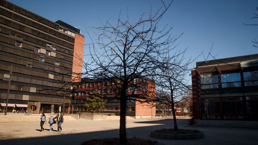 Universitetet i Oslo.