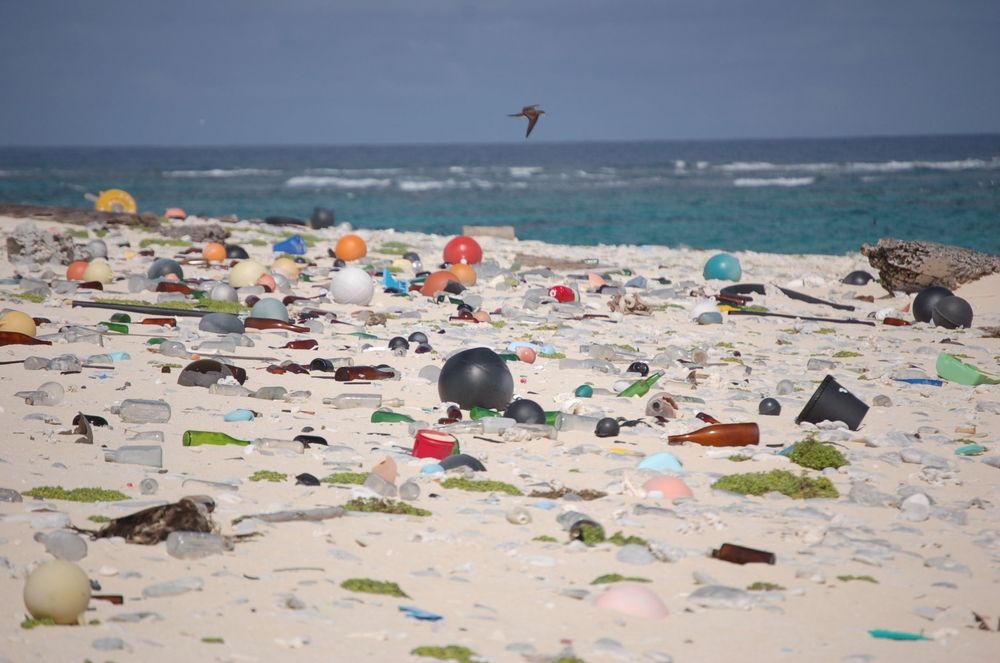 Plast og annet søppel vasket opp på en strand på øya  Laysan i vilreservatet Hawaiian Islands National Wildlife Refuge.