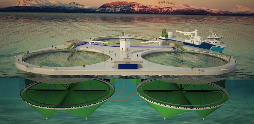  SØKNAD: Fjordmax er planlagt med en plattform med tre merder, hver på 200 meter i diameter. Lengde: 165 meter. Bredde: 153 meter. Integrete systemer for fôr, oppsamling av slam, død fisk samt pumping av sjøvann og tilsetting av oksygen