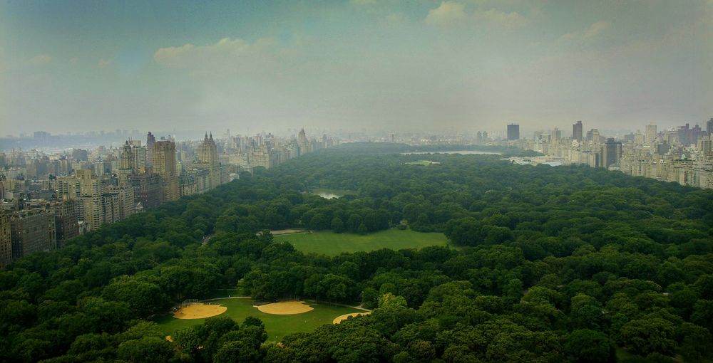 New Yorks Central Park er en av de mest kjente parkene i verden. Parken gjør det mulig for en rekke dyrearter å leve i et meget urbant område.