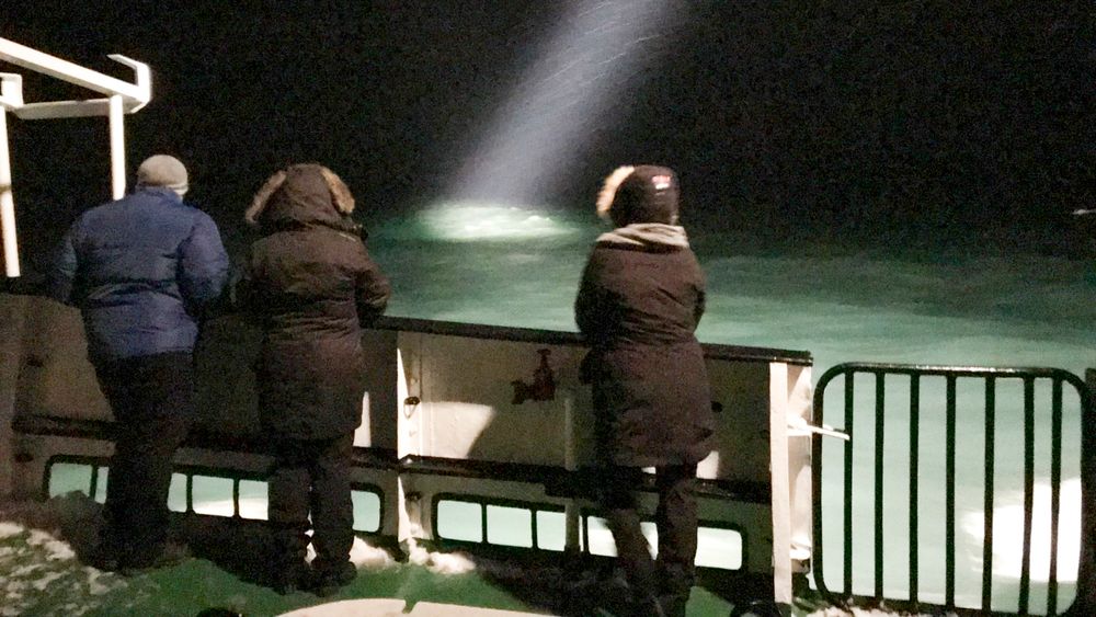 Turen tok en dramatisk vending for turistene ombord på båten Langøysund da et russisk helikopter styrtet torsdag kveld. Båten er her med på letingen etter helikopteret.
Foto: Jostein Forsberg / NTB scanpix