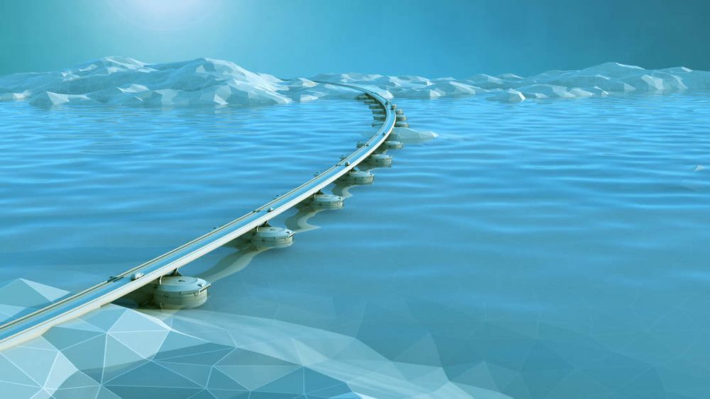 Bioway ønsker å kombinere byggingen av flytebruer med fiskeoppdrett.