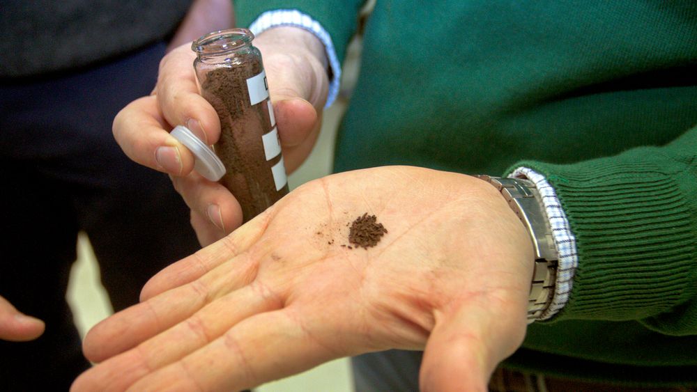 Pulverkaffe: Det ferdige silisiumproduktet likner på frysetørret kaffe. De små kantete kornene løser seg til et fint pudder ved den minste berøring.