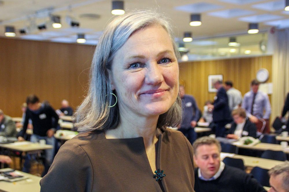 Etter ti år som generalsekretær for Norsk Bergindustri, ønsker Elisabeth Gammelsæter å slippe ny krefter til.