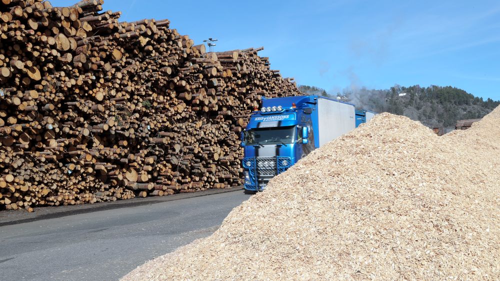 Tømmer som kommer til Norske Skog Saugbrugs i Halden. Flis t.h.  Bildet er tatt  i forbindelse med offisiell åpning av biogassanlegg våren 2017.