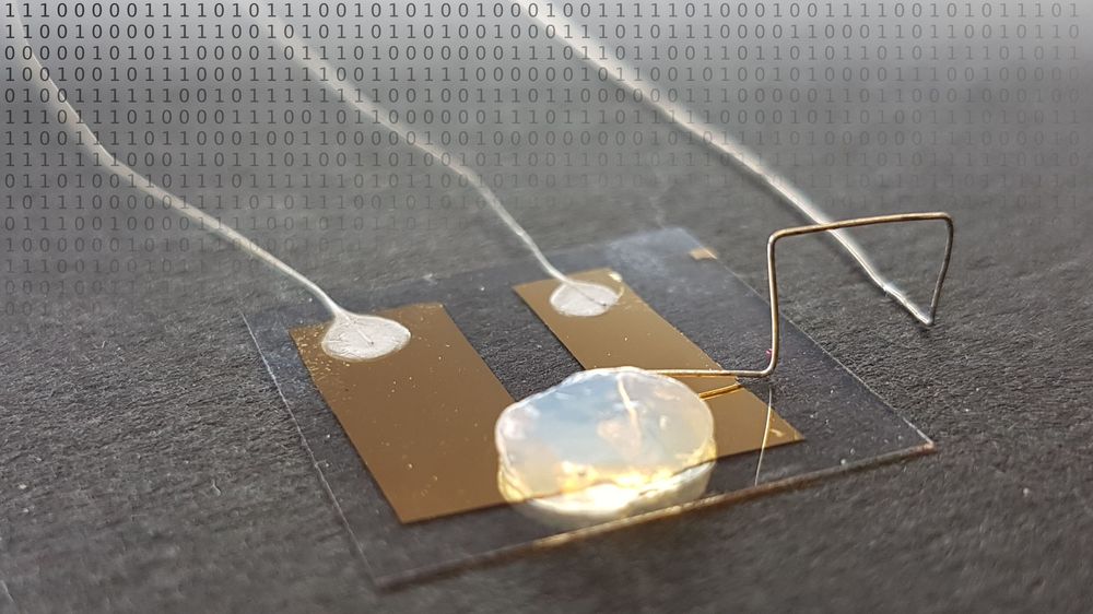 Verdens minste transistor. Ved å endre posisjonen til ett enkelt sølvatom som befinner seg inne i gele-elektrolytten i midten kan man skru av og på den elektriske strømmen.