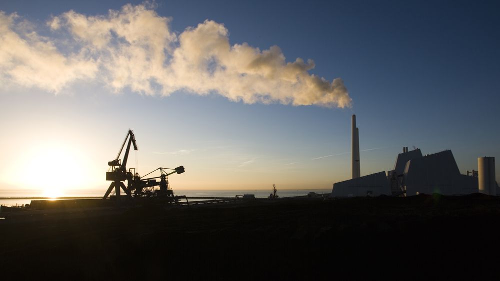 Avedøreværket utenfor København gikk over fra kull til fyring med halm og trepellets i 2011, etter press fra det danske Natur- og Miljøklagenævnet. Avedøreværket er Danmarks største kraftverk.