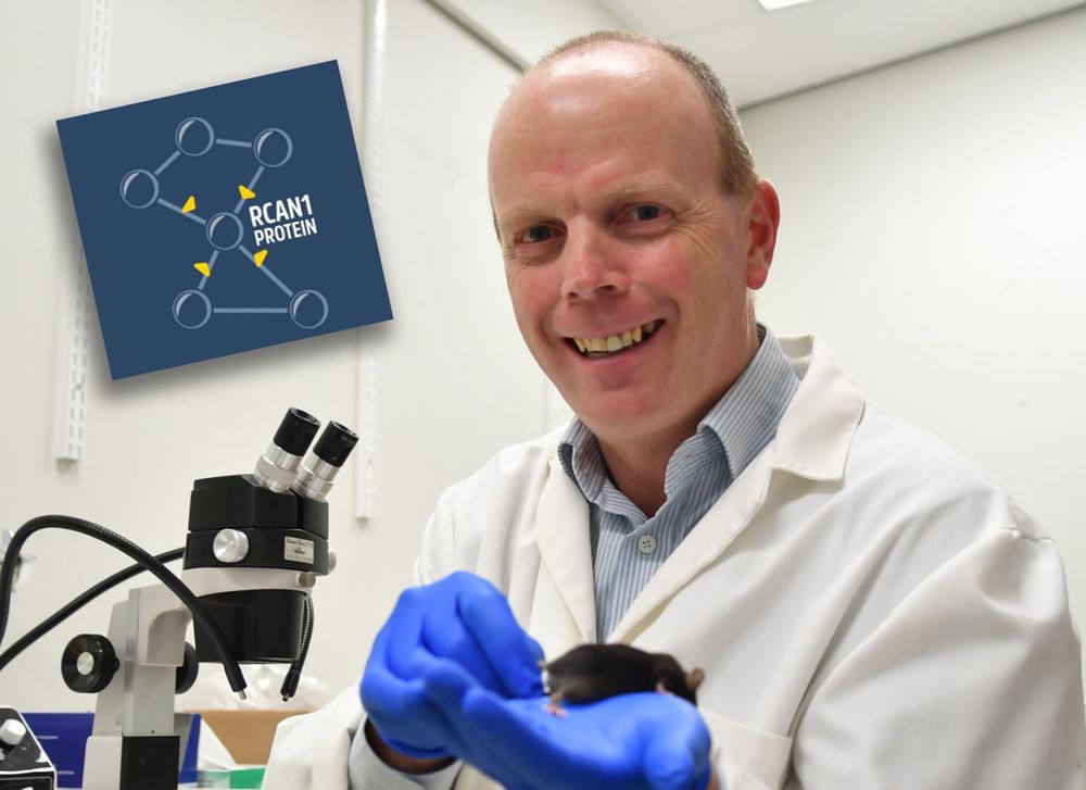 Ved å hemme et gen tror forsker Damien Keating Flinders University man kan lage en medisin som lar folk spise det de vil uten å legge på seg.