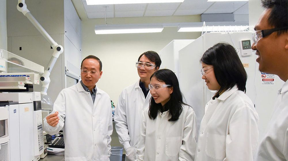 Professor Hanwu Lei, left og teamet hans på laboratoriet for bioprodukt ved Washington State University.