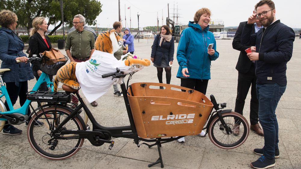 Oslo kommune har så langt gitt 140 bedrifter tilsagn om støtte til kjøp av elektriske lastesykler. I midten av juli var det utbetalt støtte til 46 sykler. Her er ordfører Marianne Borgen på Rådhusplassen i forbindelse med at Oslo ble utnevnt til European Green Capital i 2019.