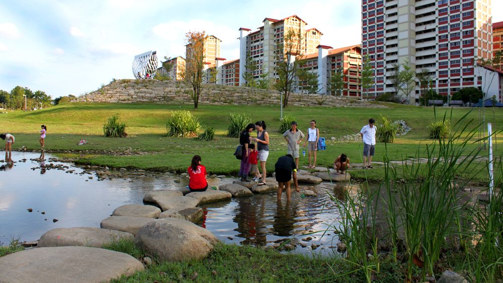 Bihan-ang Mo Kio Park i Singapore, hvor Rambøll har hjulpet til med klimasikringen – og tatt høyde for økt risiko for mygg og andre uhumskheter. 
