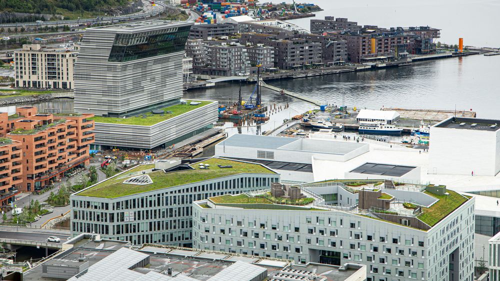Utbyggingen på Bjørvika i Oslo er i stor grad dekket av grønne tak.