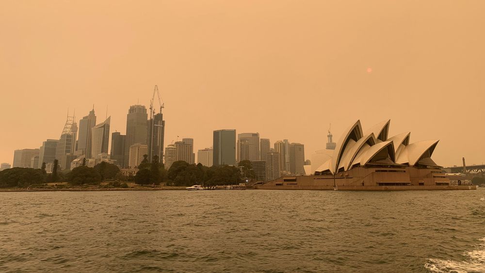Australia: Over 80 skogbranner har de siste ukene truet store områder rundt Sydney. Bildet viser røykteppet over storbyen. Meteorologisk institutt i Australia kom i fjor med en rapport som om at klimaendringene har medvirket til ekstrem varme som kan bli tennkilde til skogbranner. 