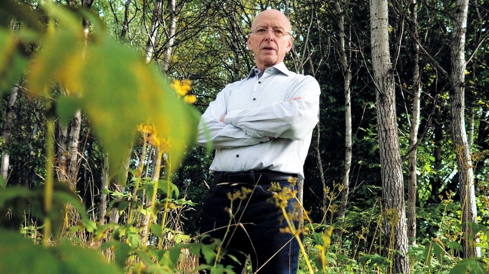 Når tregrensen kryper oppover til fjells og krattet sprer seg til tundraen, vil vegetasjonen reflektere mindre sollys. Da øker oppvarmingen. Frode Stordal skal bruke kunstig intelligens for å kunne forklare helt presist hvordan endringen av vegetasjonen de siste 40 årene har påvirket klimaet.