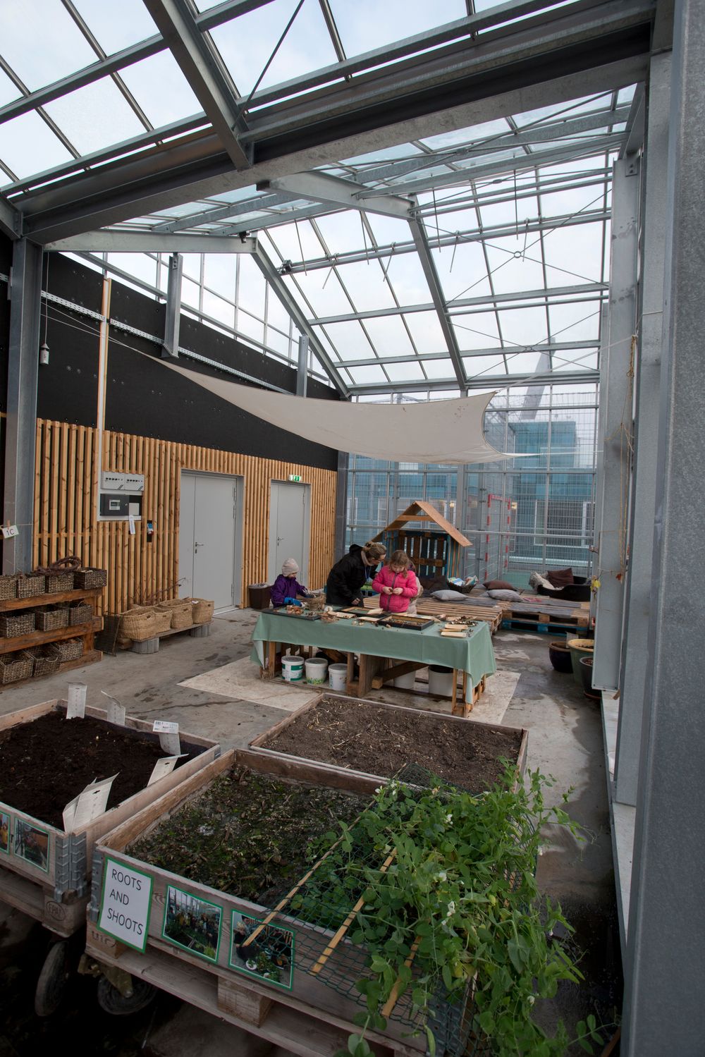 Sol og vann: Drivhuslærer Andrew Stern med regnvannsfanger og solcellepanel på taket.