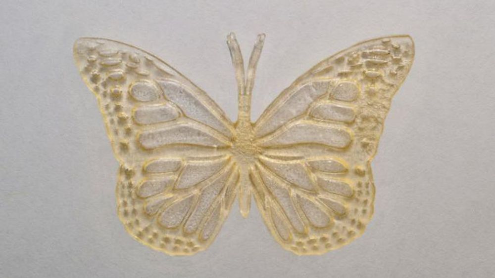 3D-utskrevet sommerfugl fra laboratoriet i Toronto.
