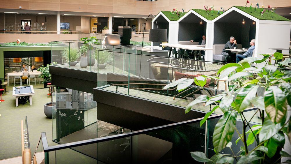 I IBMs nye kontorlokale i Oslo har de bygget en innedørs hage der ansatte kan ha møter, men også samles i sosiale sammenhenger.