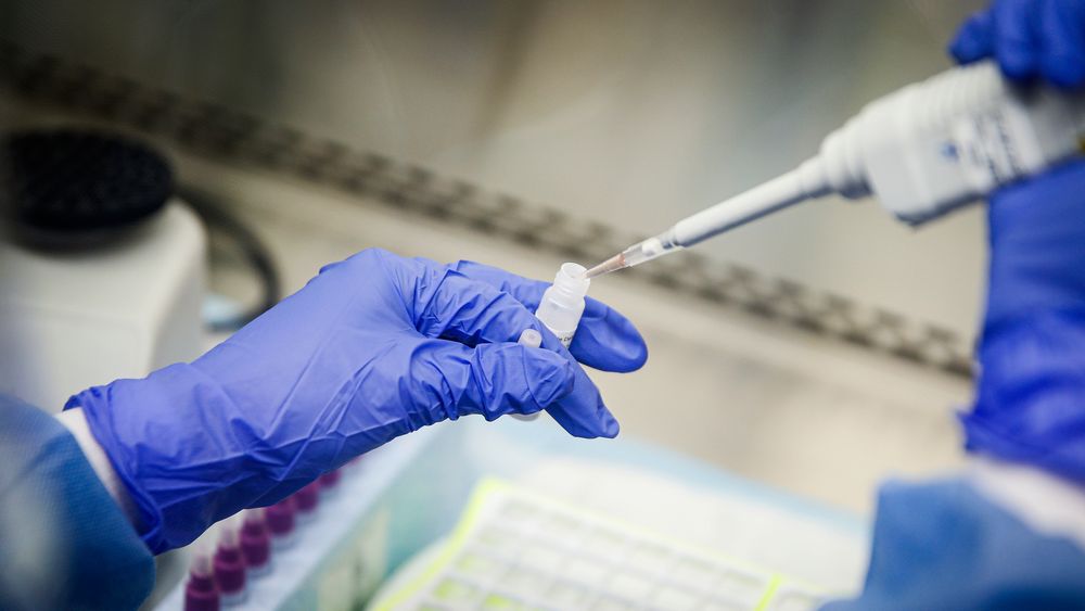 En laboratorietekniker jobber med prøver fra pasienter som skal testes for covid-19 ved Northwell Health Labs i den amerikanske delstaten New York.