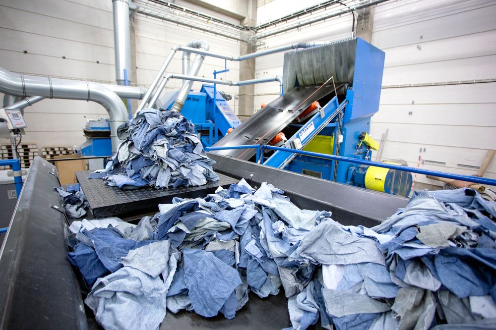 Råvare:Tradisjonelt er trær råvaren i celluloseproduksjon, men hos Renewcell i Kristinehamn er det brukte jeans som mates inn i produksjonen.