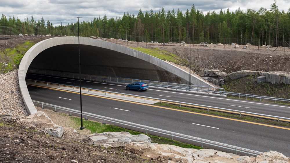 De 27 kilometerne på Riksvei 3 mellom Løten og Elverum ble bygget på kun 26 måneder. 