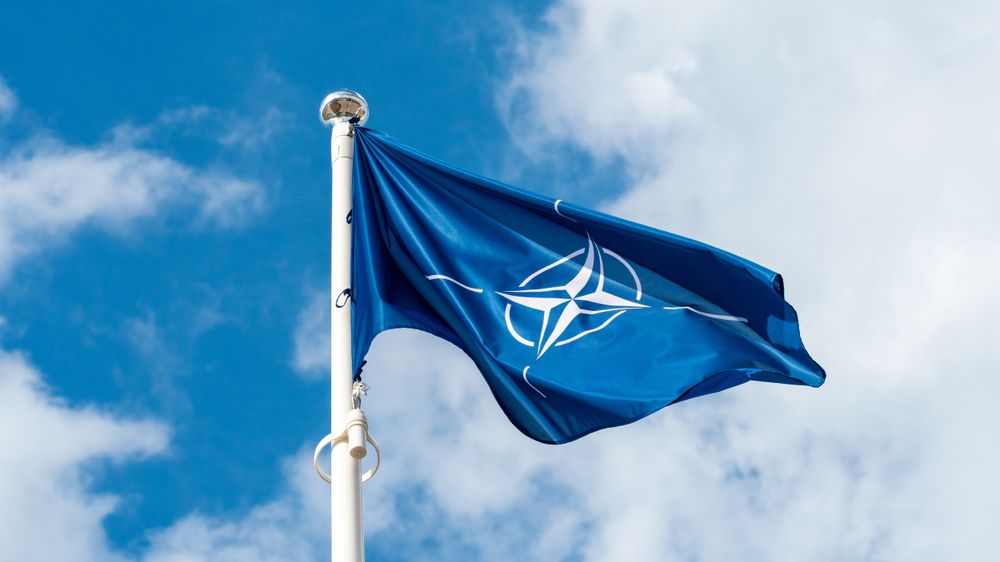 Nato er bekymret for manglende kontroll på utenlandske investeringer.