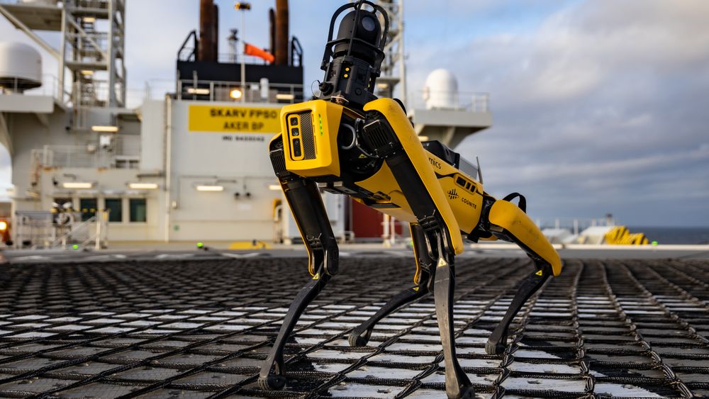 Den firbeinte roboten nå har hatt sin første «arbeidsuke» offshore, 210 kilometer vest for Sandnessjøen.