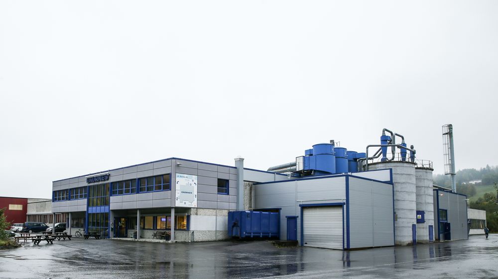Ekornes er den største private arbeidsplassen i Hornindal. Fabrikken ligger i et industriområde på Ytrehorn, 500 meter fra Grodås sentrum.