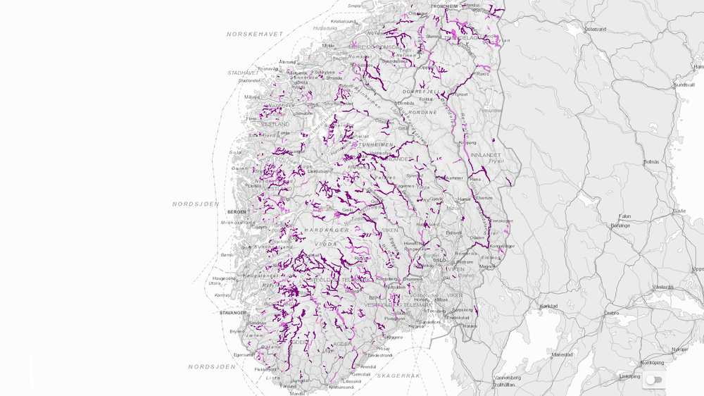 Over 5.000 vannforekomster i Norge er påvirket av vannkraft. Om lag 1.500 har fått unntak fra miljømål i EUs vanndirektiv. Skjermdump: Vann-nett