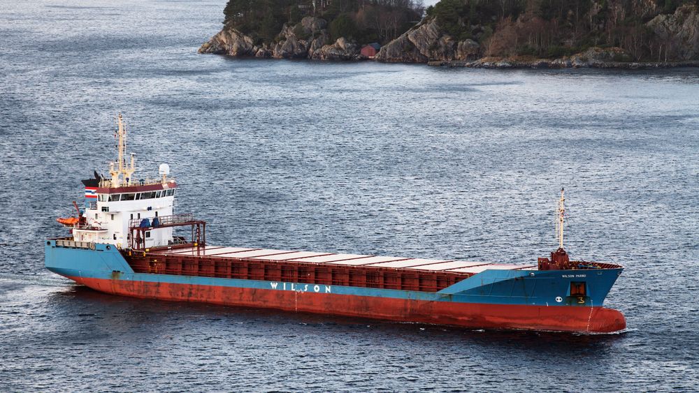 Skipstrafikk utgjør en del av støyforurensningen som kan forstyrre dyrelivet i havet. Bildet viser lasteskipet «Wilson Parnu» på vei mot Bergen i november i fjor. 