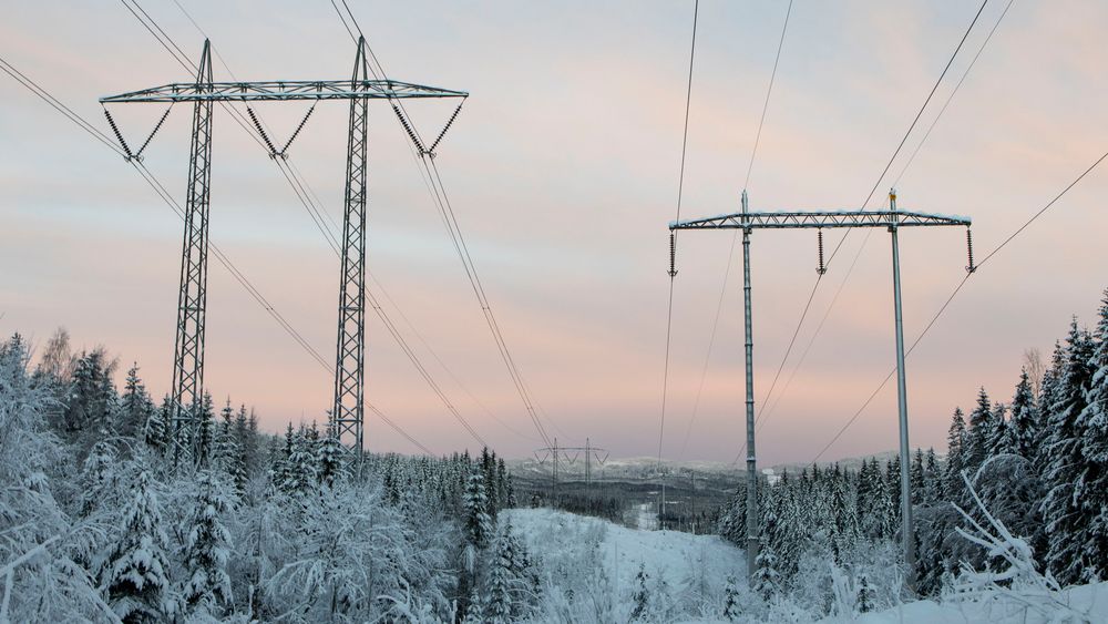Høyspentledning på den såkalte Vinstralinja i Lillomarka i Nittedal. I fjor var strømprisen på det laveste siden 2002, ifølge Statistisk sentralbyrå. 