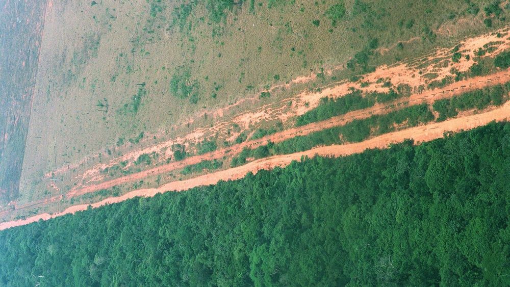 Over store deler av Amazonas har mennesker satt store spor, som her i Brasil. Det er nå bare noen få områder igjen som kan kalles villmark.